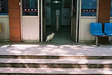 一直索尼独占的《美职棒》新作登陆Xbox是索尼对微软的信任