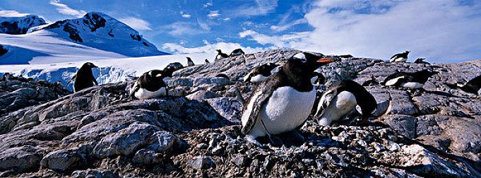 《星空》1.7.36版更新：为PC和主机增加FOV滑杆